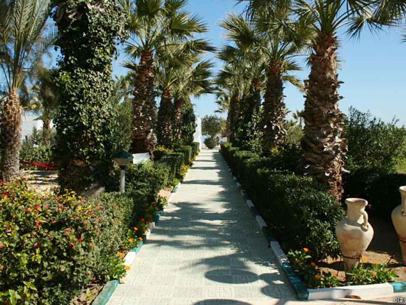 Marhaba Palace 16776