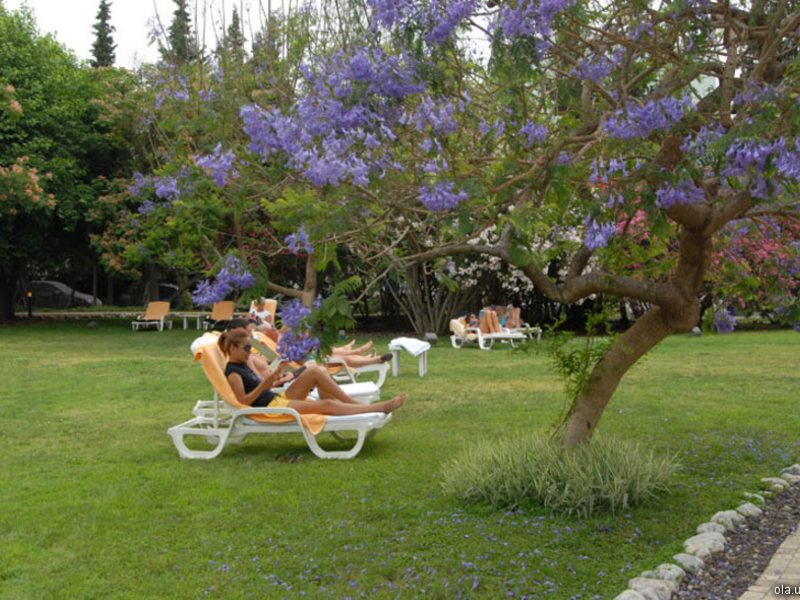 Maritim Hotel Grand Azur  26011