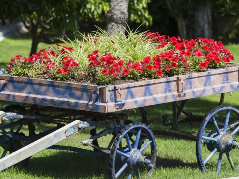 Maritim Pine Beach Resort 94643