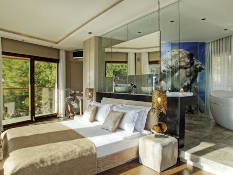 Marti Hemithea (Special Cat 65729