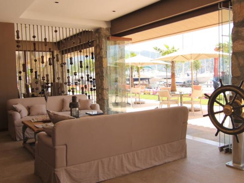 Marti Hemithea (Special Cat 65732