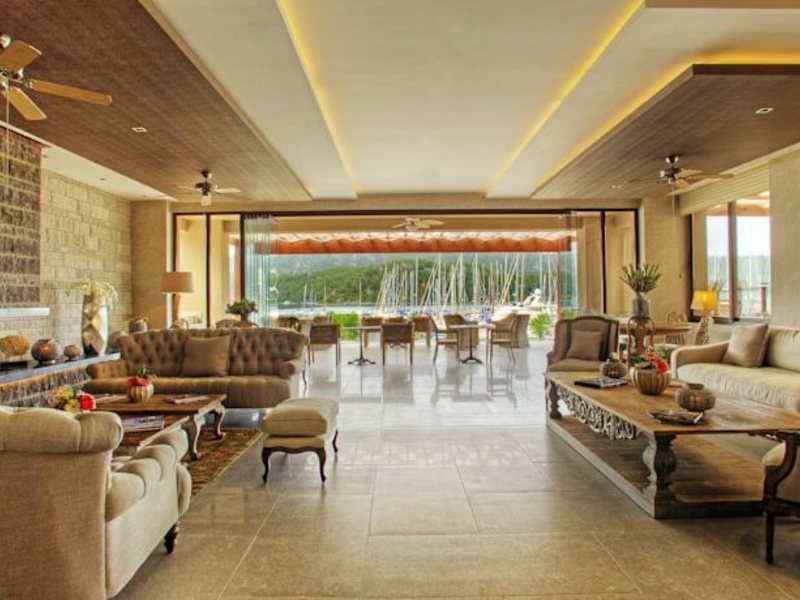 Marti Hemithea (Special Cat 65733