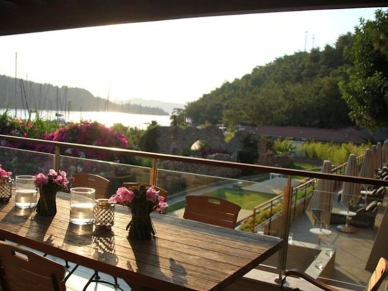 Marti Hemithea (Special Cat 65734