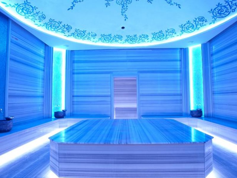 Marti Hemithea (Special Cat 65735