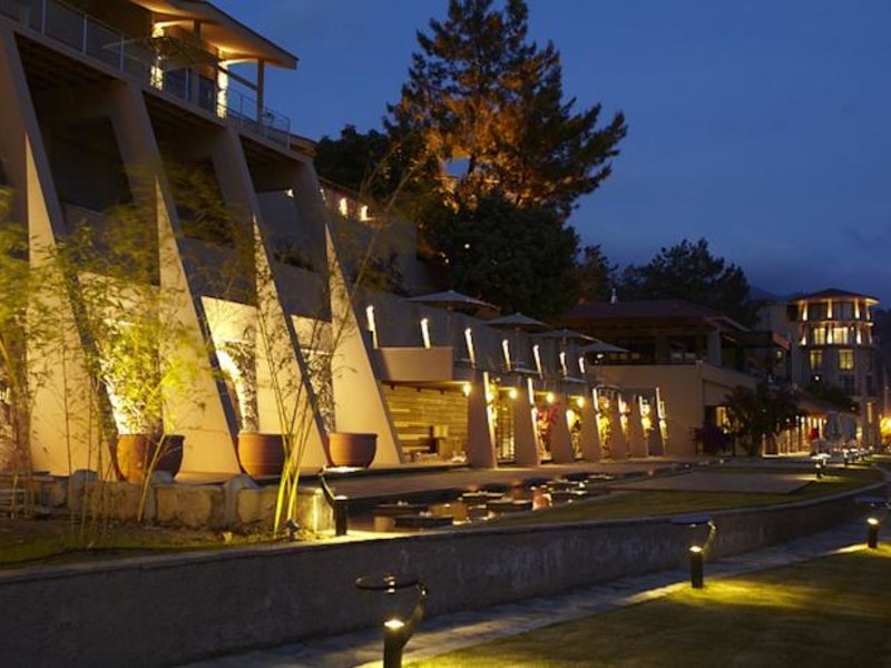 Marti Hemithea (Special Cat 65739