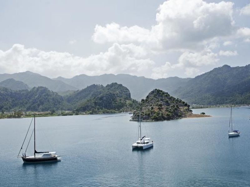 Marti Hemithea (Special Cat 65741