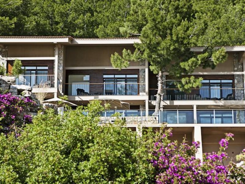 Marti Hemithea (Special Cat 65747