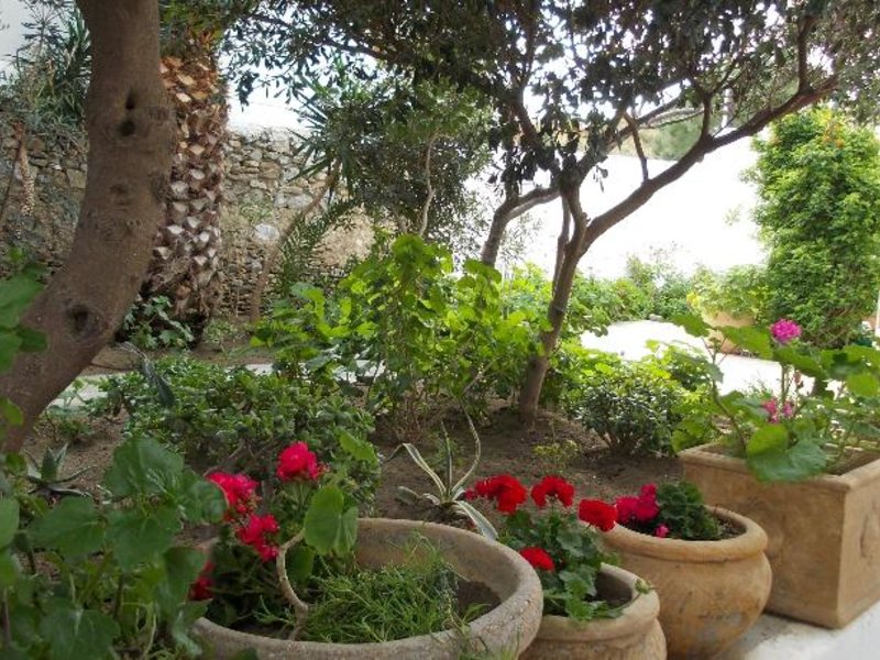 Matina Hotel Faliraki 77935