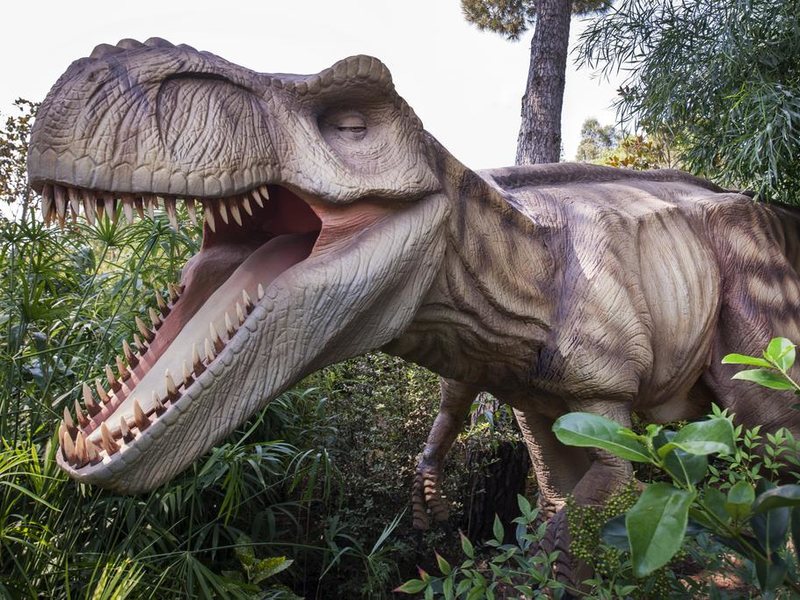 Maxx Royal Belek Golf & Spa 110496