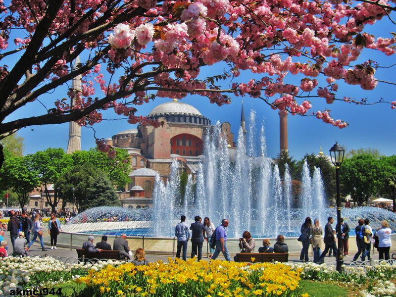 May Hotel Istanbul 187136