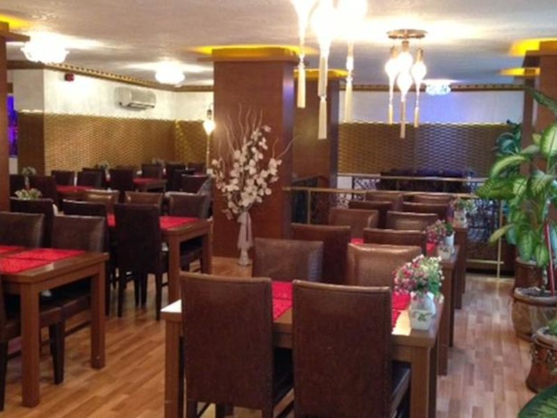 Maya Hotel 94881