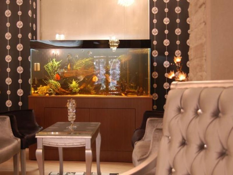Maya Hotel 94884