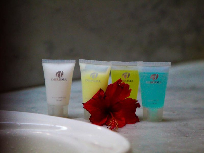 Mazson s Hotel 201459