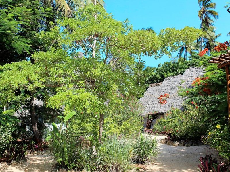 Mchanga Beach Resort 217467