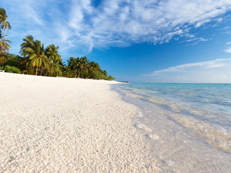 Meeru Island Resort & Spa 227630