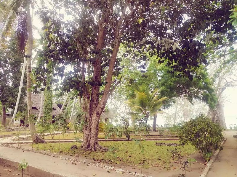 Menai Bay Beach Bungalows 200868