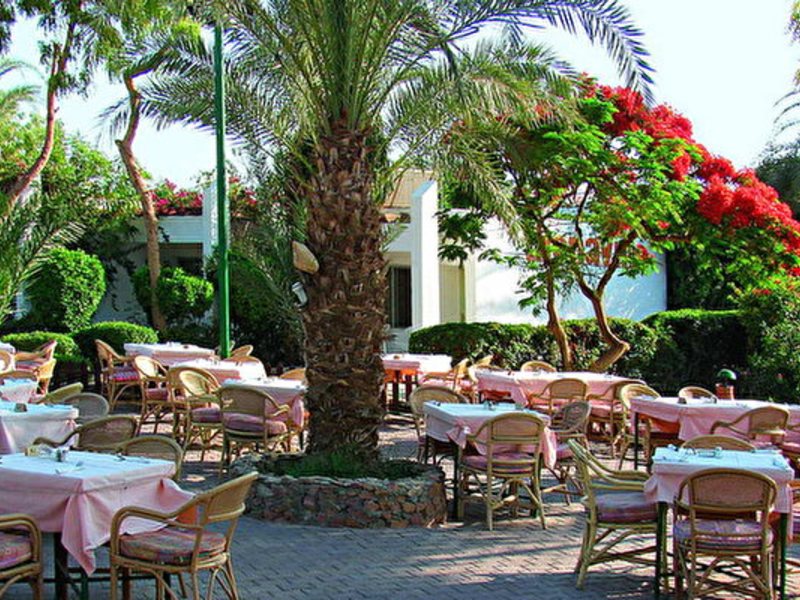 Menaville Safaga 50822