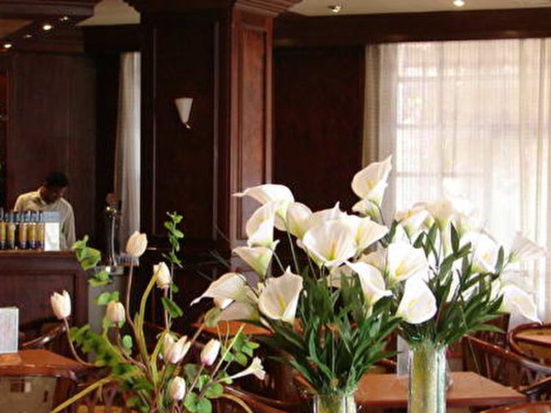 Menaville Safaga 50830