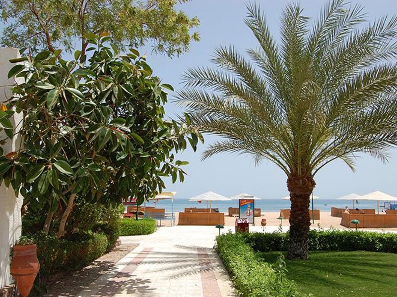 Menaville Safaga 50839