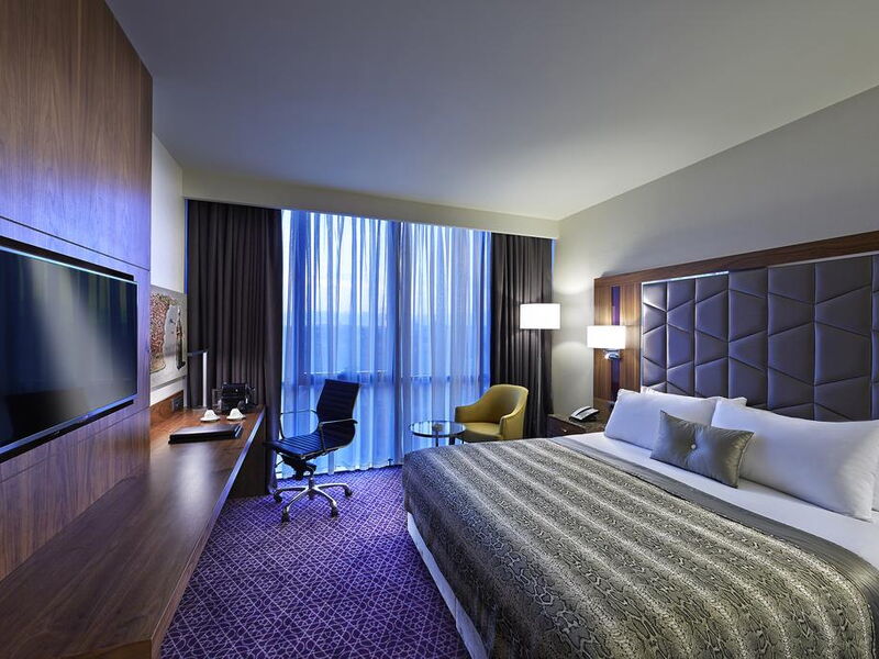 Mercure Istanbul Topkapi 301934