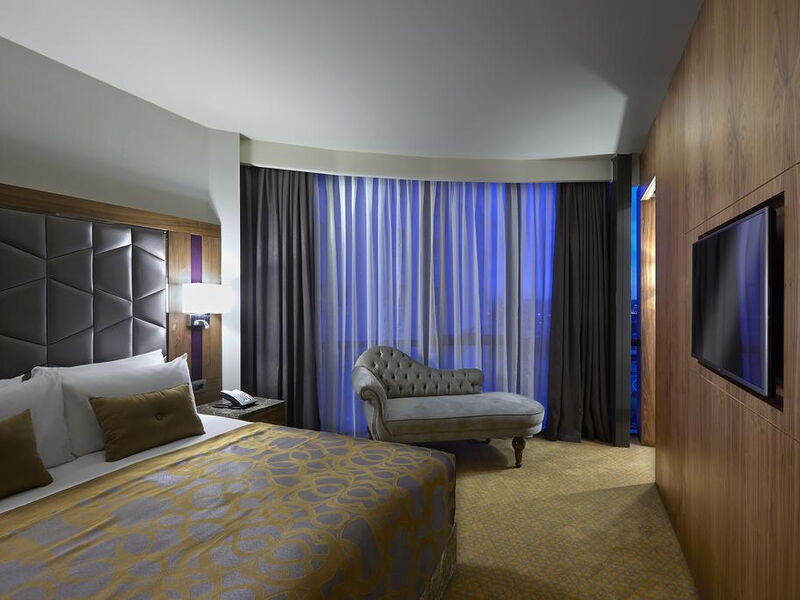 Mercure Istanbul Topkapi 301947