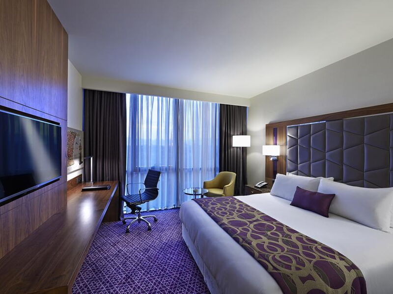 Mercure Istanbul Topkapi 301952