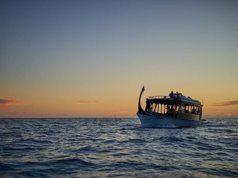 Mercure Maldives Kooddoo Resort 228211