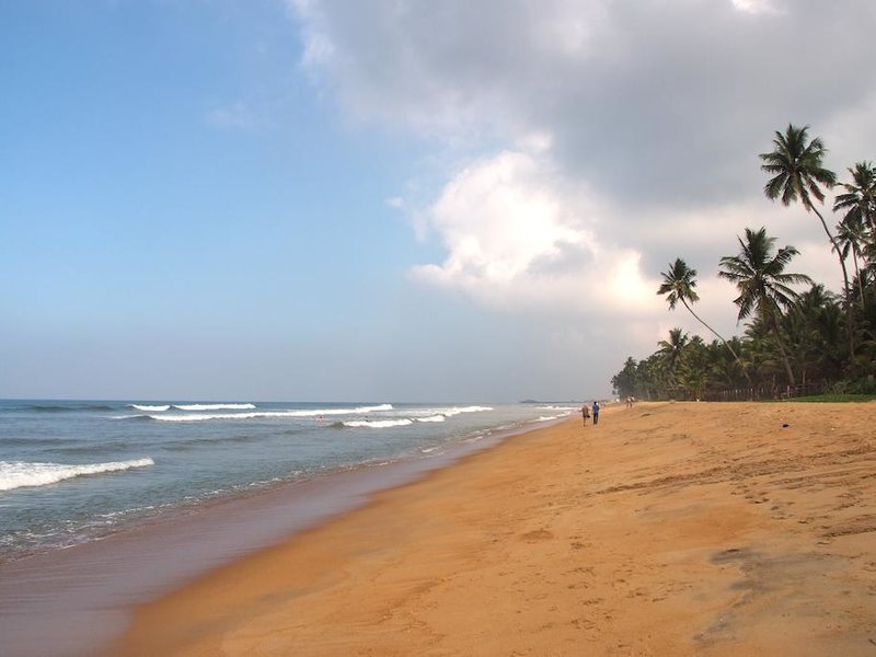 Mermaid Hotel  108066