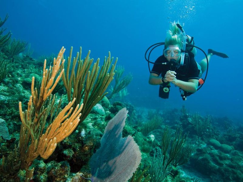 Messonghi Beach Resort 260535