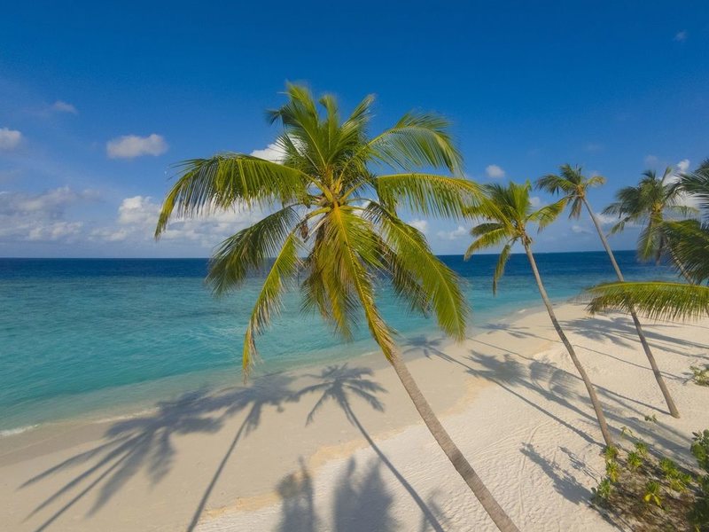Milaidhoo Island Maldives 135863