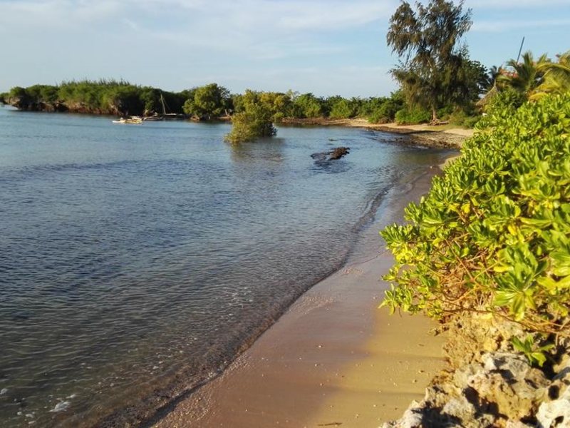 Milele Villas Zanzibar 322607