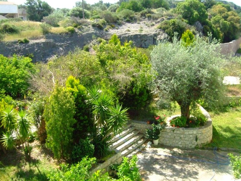 Millenium Studios 247409