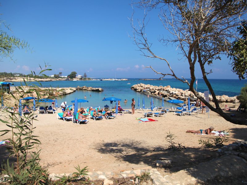 Mimosa Beach Hotel 206370