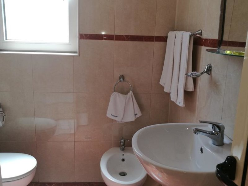 Mimosa Family Hotel  319538