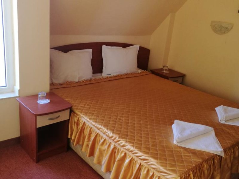 Mimosa Family Hotel  319543