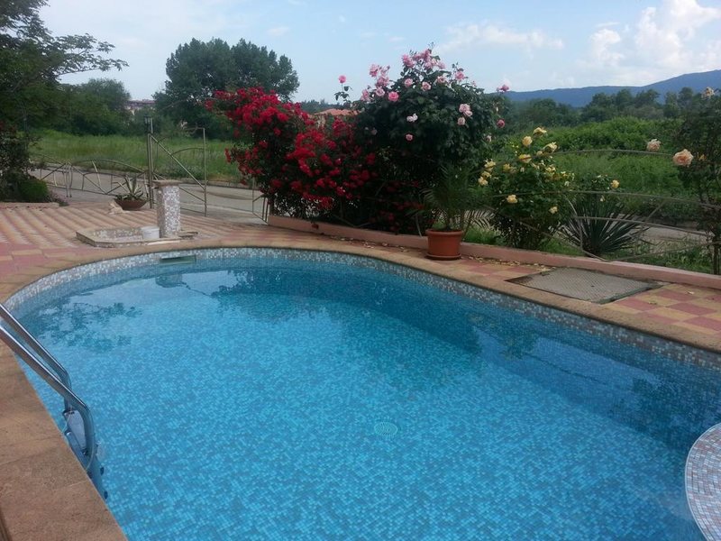 Mimosa Family Hotel  319550