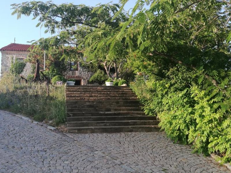 Mimosa Family Hotel  319551