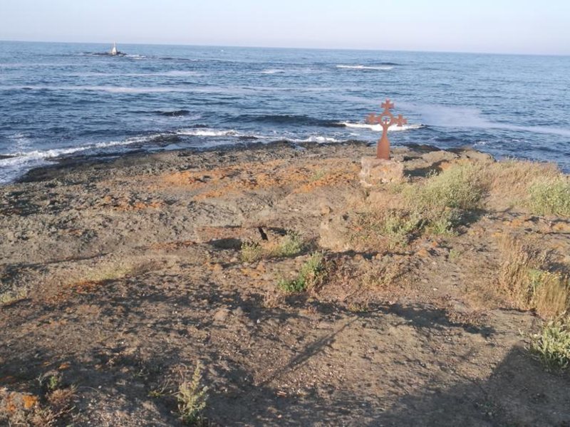 Mimosa Family Hotel  319552