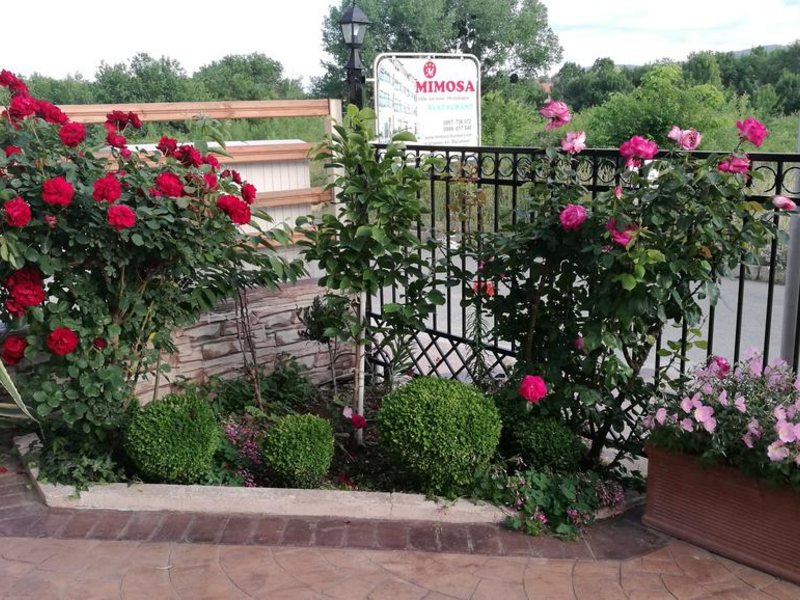 Mimosa Family Hotel  319554