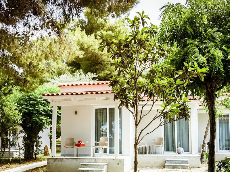 Mimoza Beach Hotel 306309