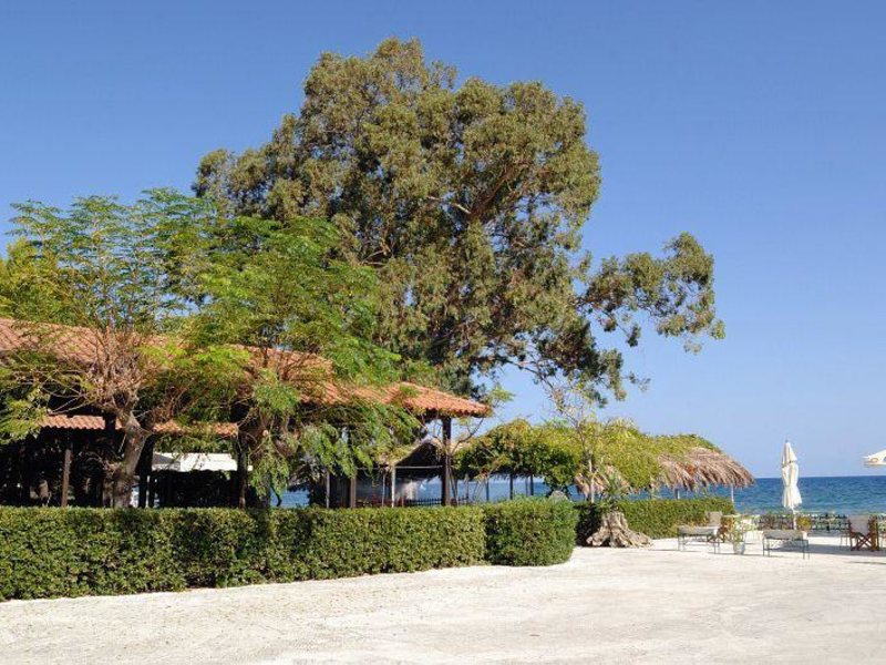 Mimoza Beach Hotel 306328
