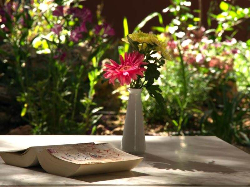 Minos Aparthotel 247464