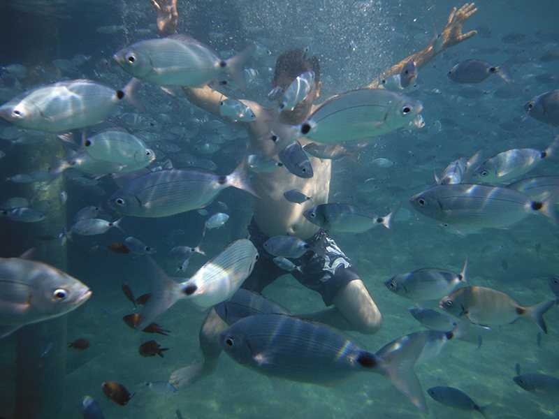 Mio Bianco Resort 186640