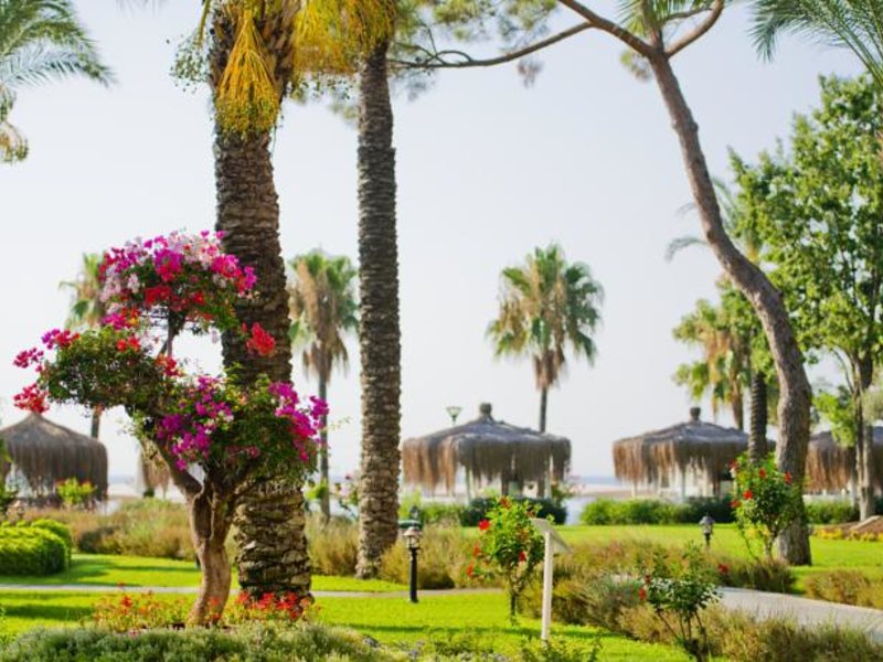 Mirada Del Mar 95169