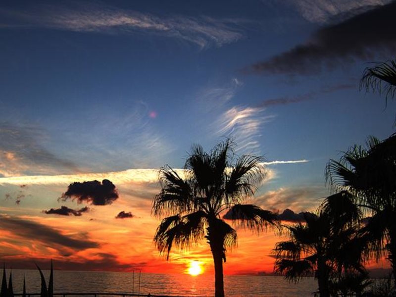 Mirador Resort & Spa Hotel 56645