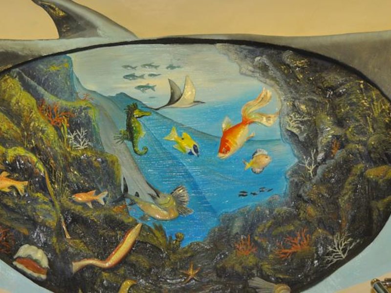 Mirador Resort & Spa Hotel 56647