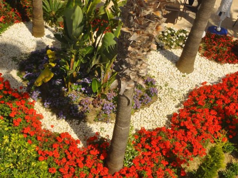 Mirador Resort & Spa Hotel 56657