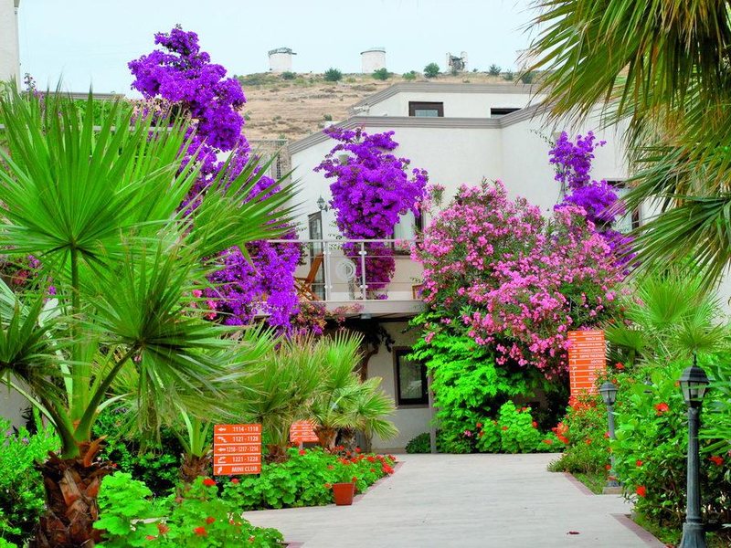 Miraluna Hotel (Club Mira Luna) 29385