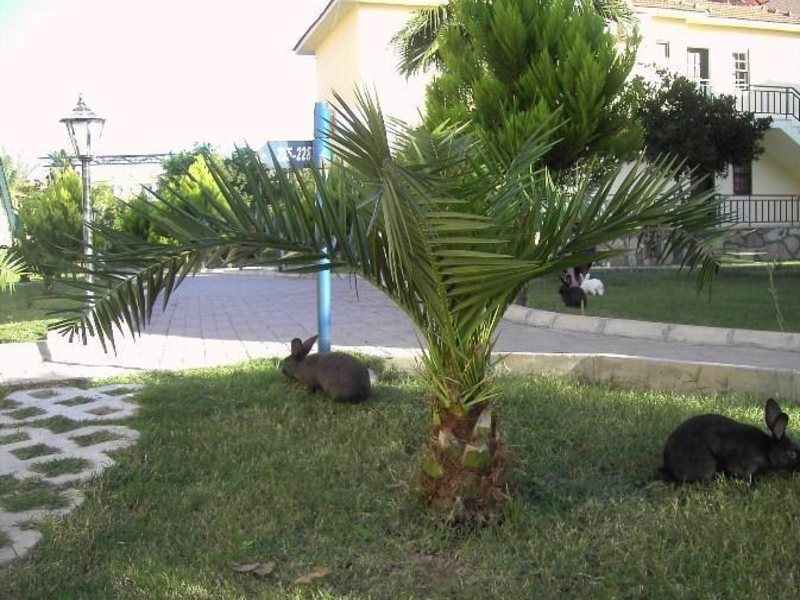 Miramor Garden Resort (ex 37405