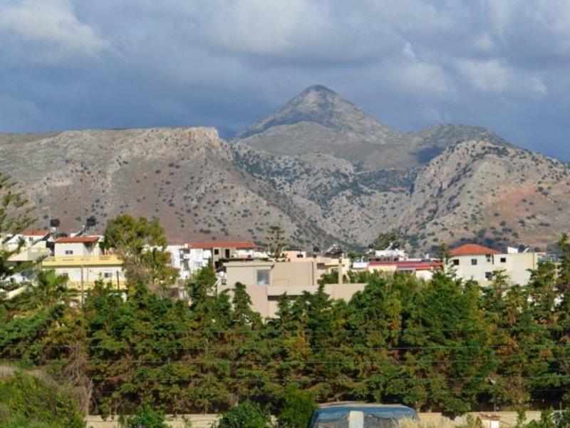 Miro Sun Boutique  76714